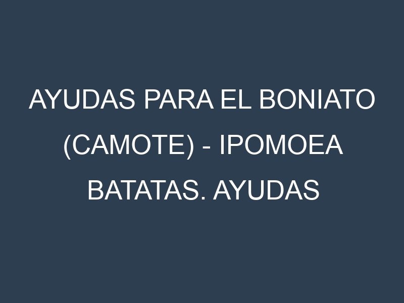 Ayudas para el Boniato (camote) – Ipomoea batatas. Ayudas para el cultivo. Subvenciones.