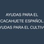 Ayudas para el Cacahuete español. Ayudas para el cultivo. Subvenciones.