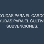 Ayudas para el Cardo. Ayudas para el cultivo. Subvenciones.