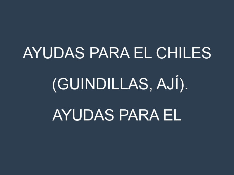 Ayudas para el Chiles (guindillas, ají). Ayudas para el cultivo. Subvenciones.
