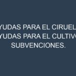 Ayudas para el Ciruela. Ayudas para el cultivo. Subvenciones.