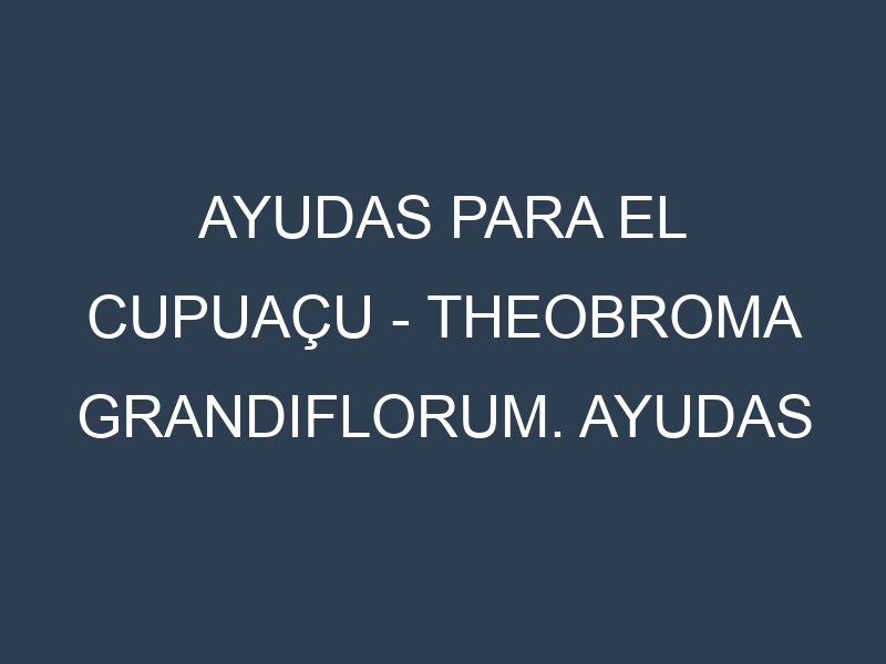Ayudas para el Cupuaçu – Theobroma grandiflorum. Ayudas para el cultivo. Subvenciones.
