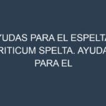 Ayudas para el Espelta – Triticum spelta. Ayudas para el cultivo. Subvenciones.
