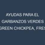 Ayudas para el Garbanzos verdes (Green Chickpea, Fresh Garbanzo, Green Hummus Bean, Green Kabuli, Desi). Ayudas para el cultivo. Subvenciones.