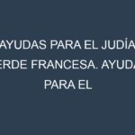 Ayudas para el Judía verde francesa. Ayudas para el cultivo. Subvenciones.