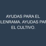 Ayudas para el Milenrama. Ayudas para el cultivo. Subvenciones.
