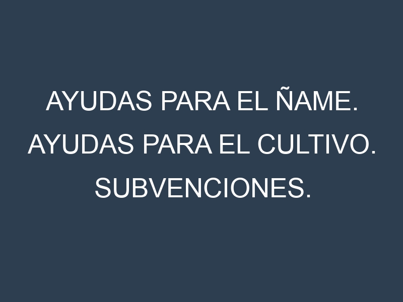 Ayudas para el Ñame. Ayudas para el cultivo. Subvenciones.