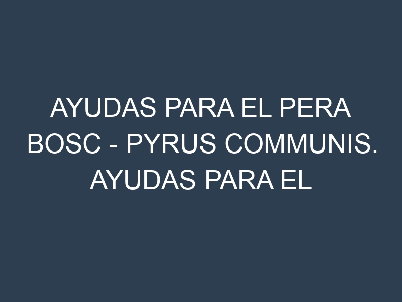 Ayudas para el Pera Bosc – Pyrus communis. Ayudas para el cultivo. Subvenciones.