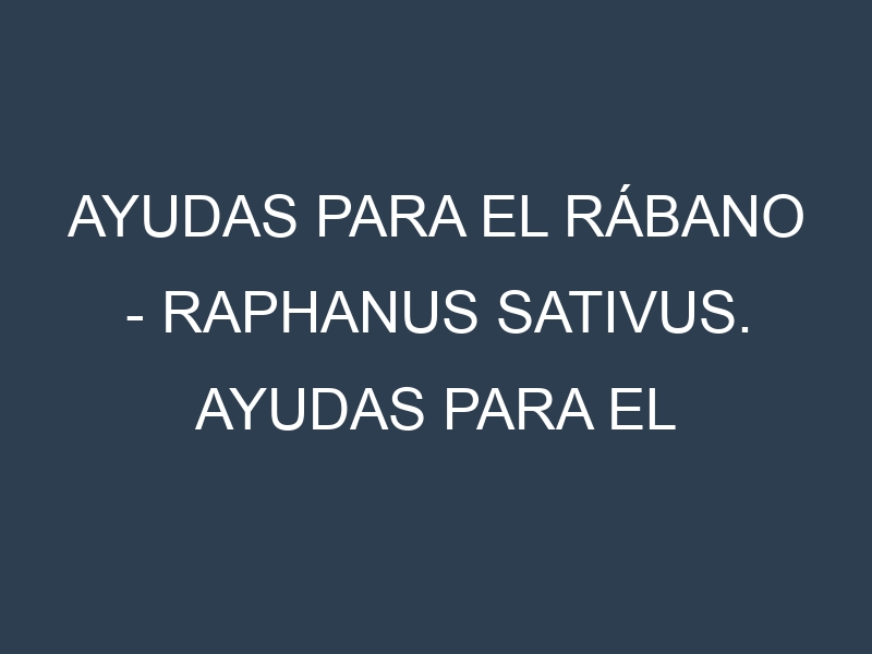Ayudas para el Rábano – Raphanus sativus. Ayudas para el cultivo. Subvenciones.