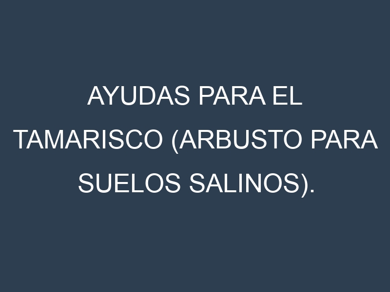 Ayudas para el Tamarisco (arbusto para suelos salinos). Ayudas para el cultivo. Subvenciones.