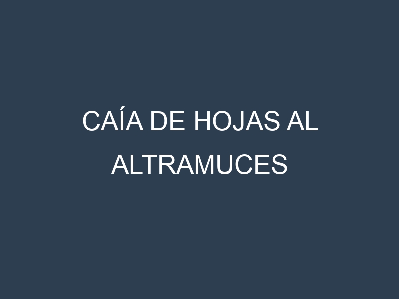 Caía de hojas al Altramuces