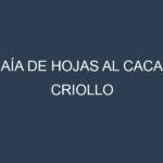 Caía de hojas al Cacao criollo