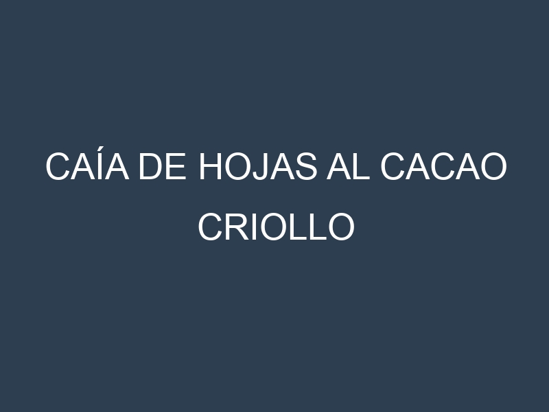 Caía de hojas al Cacao criollo
