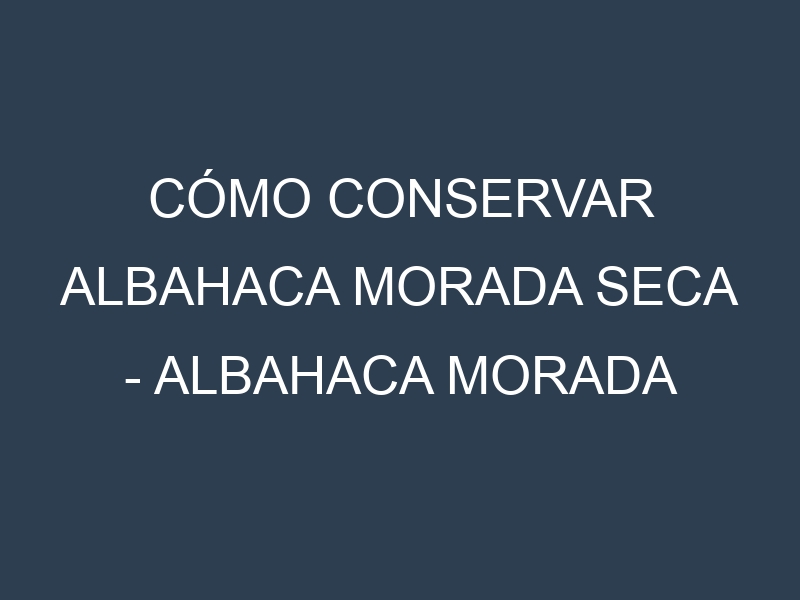 Cómo conservar Albahaca morada seca – Albahaca morada deshidratada.