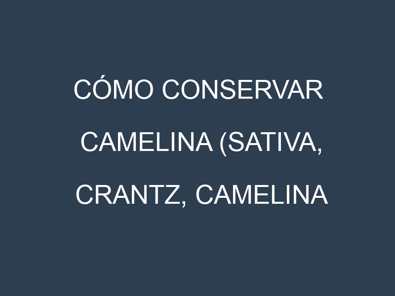 Cómo conservar Camelina (Sativa, Crantz, Camelina microcarpa, Camelina dentata).