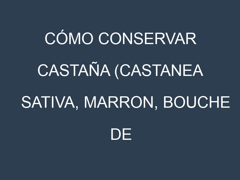 Cómo conservar Castaña (Castanea sativa, Marron, Bouche de Betizac).
