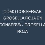 Cómo conservar Grosella roja en conserva – Grosella roja enlatada.