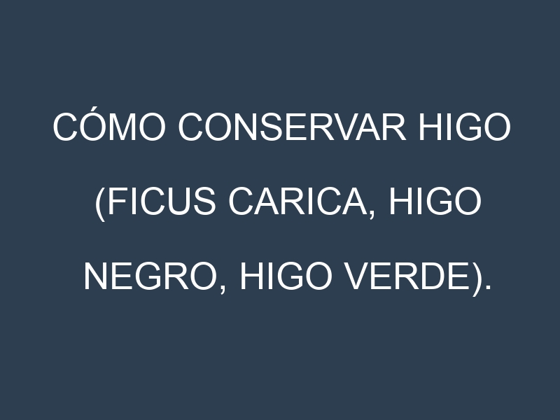 Cómo conservar Higo (Ficus carica, Higo negro, Higo verde).