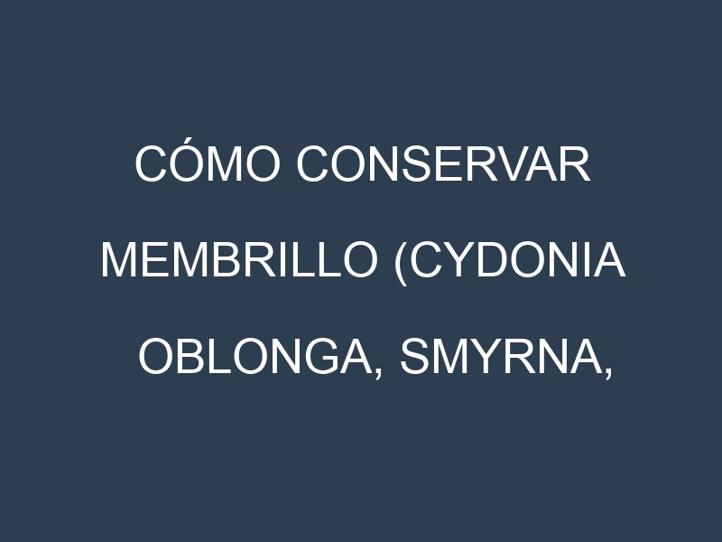 Cómo conservar Membrillo (Cydonia oblonga, Smyrna, Champion, Pineapple).