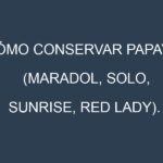 Cómo conservar Papaya (Maradol, Solo, Sunrise, Red Lady).
