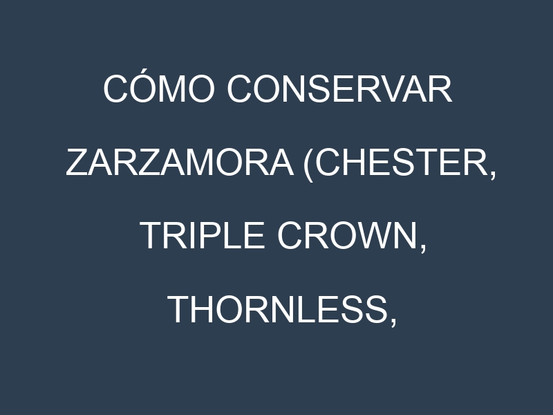 Cómo conservar Zarzamora (Chester, Triple Crown, Thornless, Navaho).