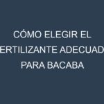 Cómo Elegir el Fertilizante Adecuado para Bacaba Bacaba-de-leque – Oenocarpus bacaba