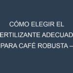 Cómo Elegir el Fertilizante Adecuado para Café robusta – Café robusta