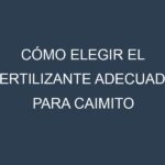Cómo Elegir el Fertilizante Adecuado para Caimito (Chrysophyllum cainito)