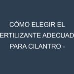 Cómo Elegir el Fertilizante Adecuado para Cilantro – Culantro