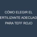 Cómo Elegir el Fertilizante Adecuado para Teff rojo
