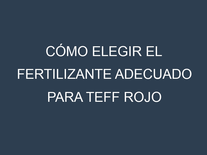 Cómo Elegir el Fertilizante Adecuado para Teff rojo