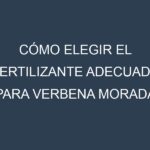 Cómo Elegir el Fertilizante Adecuado para Verbena morada