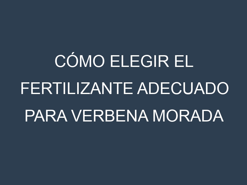 Cómo Elegir el Fertilizante Adecuado para Verbena morada