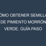 Cómo obtener semillas de Pimiento morrón verde. Guía paso a paso. Técnicas sencillas. Conservación.