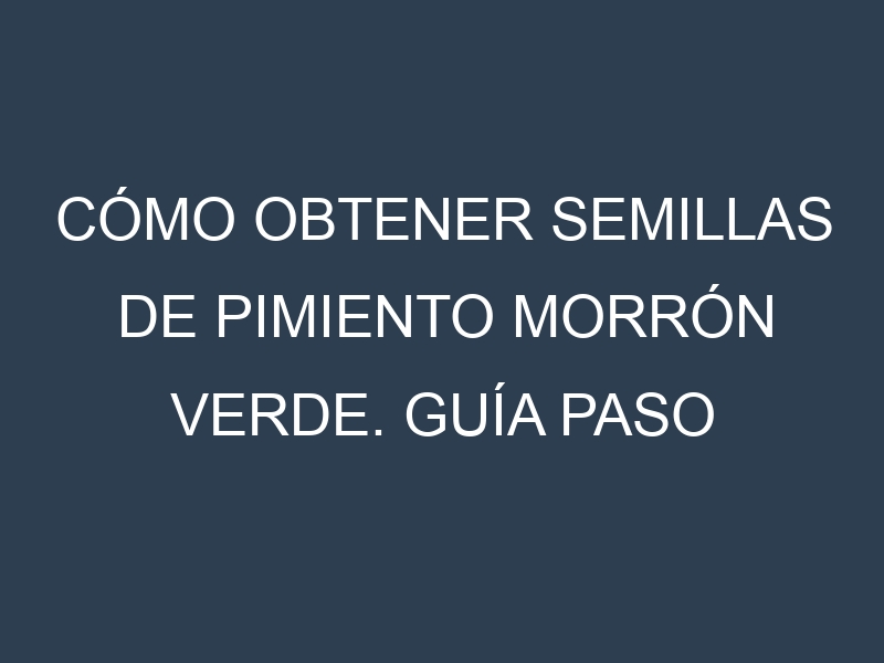 Cómo obtener semillas de Pimiento morrón verde. Guía paso a paso. Técnicas sencillas. Conservación.