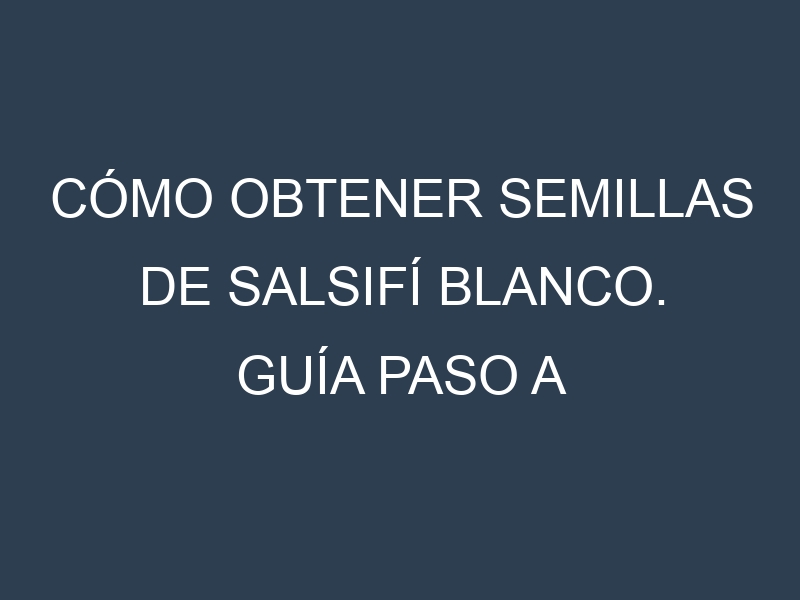 Cómo obtener semillas de Salsifí blanco. Guía paso a paso. Técnicas sencillas. Conservación.