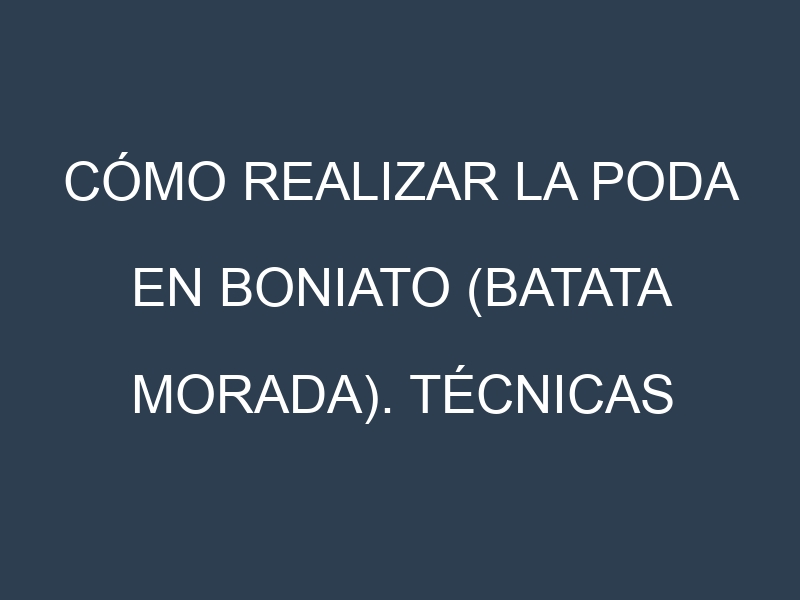 Cómo Realizar la Poda en Boniato (batata morada). Técnicas y Poda de formación.