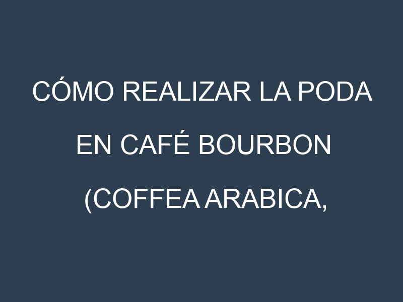Cómo Realizar la Poda en Café bourbon (Coffea arabica, bourbon). Técnicas y Poda de formación.