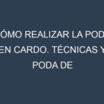 Cómo Realizar la Poda en Cardo. Técnicas y Poda de formación.
