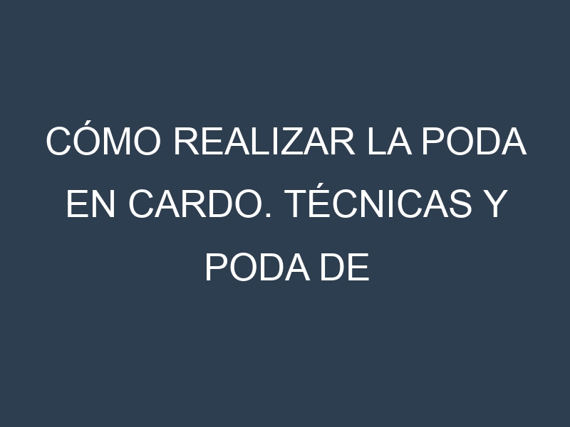 Cómo Realizar la Poda en Cardo. Técnicas y Poda de formación.