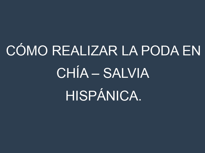 Cómo Realizar la Poda en Chía – Salvia hispánica. Técnicas y Poda de formación.