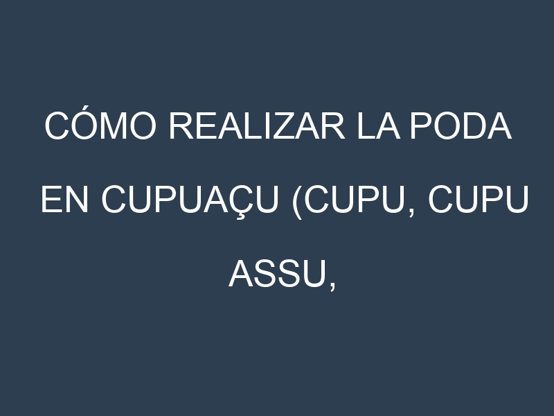 Cómo Realizar la Poda en Cupuaçu (Cupu, Cupu Assu, Copaçú, Theobroma, Grandiflorum). Técnicas y Poda de formación.