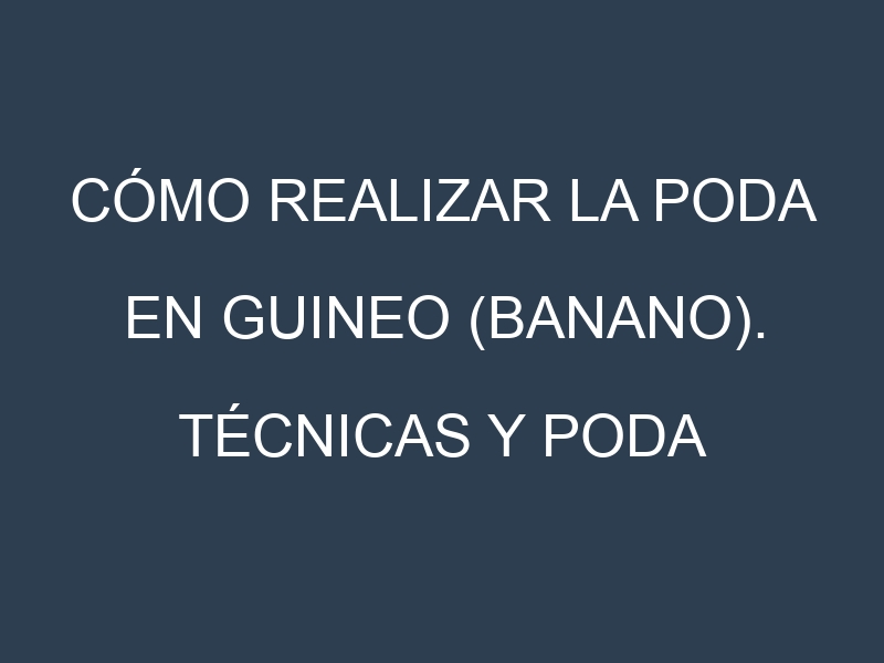 Cómo Realizar la Poda en Guineo (banano). Técnicas y Poda de formación.