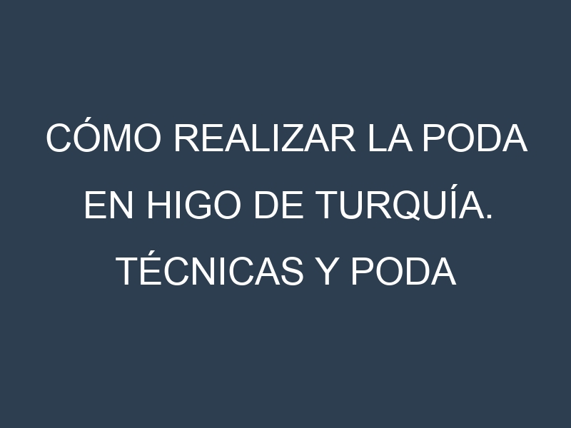 Cómo Realizar la Poda en Higo de Turquía. Técnicas y Poda de formación.