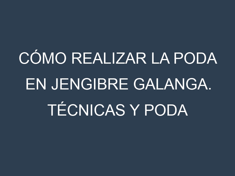 Cómo Realizar la Poda en Jengibre galanga. Técnicas y Poda de formación.