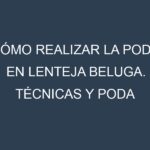 Cómo Realizar la Poda en Lenteja beluga. Técnicas y Poda de formación.