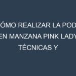 Cómo Realizar la Poda en Manzana Pink Lady. Técnicas y Poda de formación.
