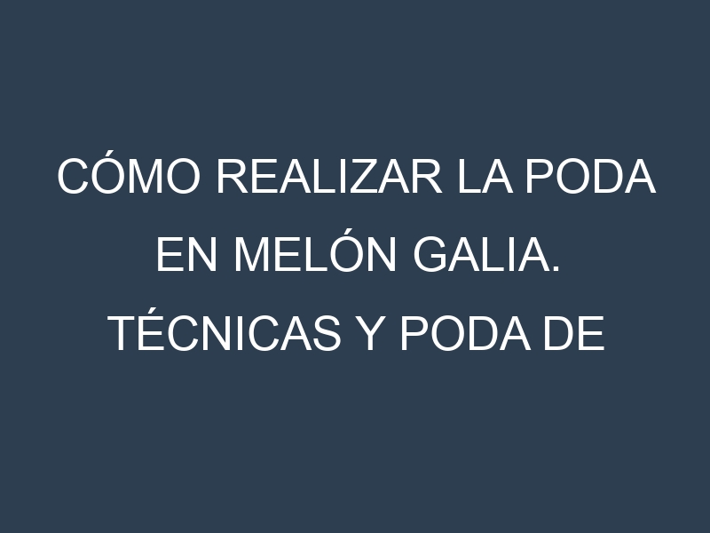Cómo Realizar la Poda en Melón galia. Técnicas y Poda de formación.