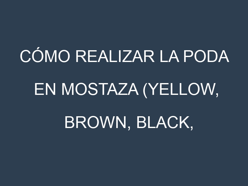Cómo Realizar la Poda en Mostaza (Yellow, Brown, Black, Oriental, White). Técnicas y Poda de formación.