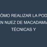 Cómo Realizar la Poda en Nuez de Macadamia. Técnicas y Poda de formación.